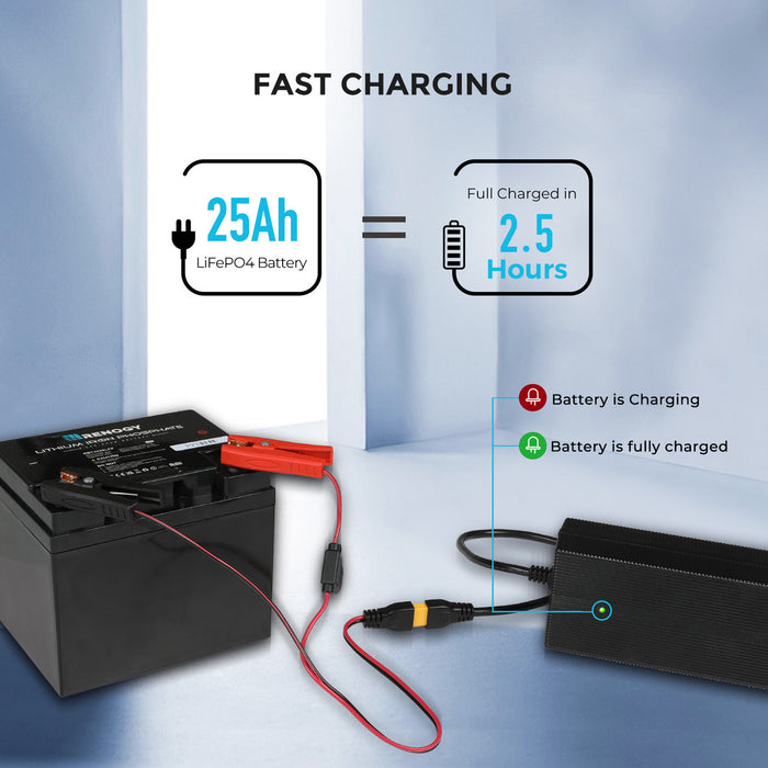 Renogy 24V 10A AC-to-DC LFP Portable Battery Charger