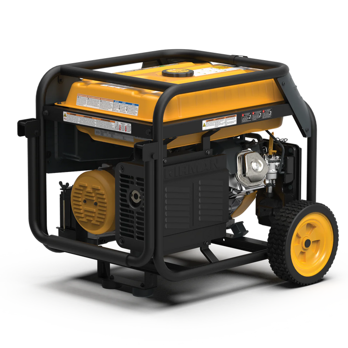 Firman Dual Fuel Portable Generator 9400W Electric Start 120/240V with CO Alert