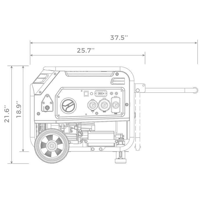 Firman Dual Fuel 4550W Portable Generator Electric Start 120V