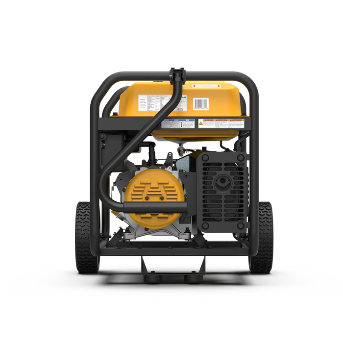 Firman Dual Fuel Portable Generator 3650W Recoil Start